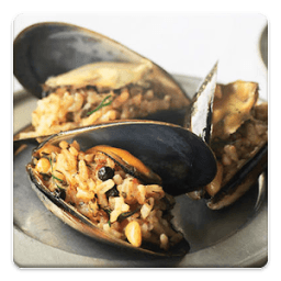 ikon Turkish Recipes