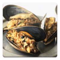 Turkish Recipes