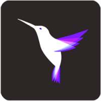 Cinemagraph PRO : The Photo Effect