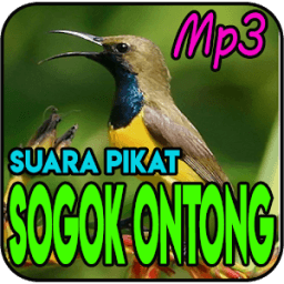 Suara Pikat Burung Sogok Ontong Mp3 icon