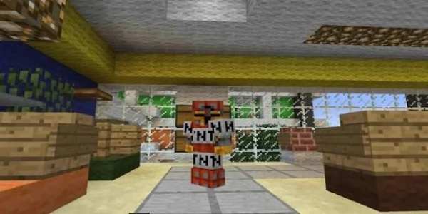 Block Armor Mod screenshot 1