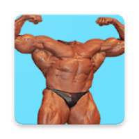 Body Builder Photo Suit Editor on 9Apps