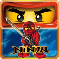 Ninjago Fighter Samurai Shadow