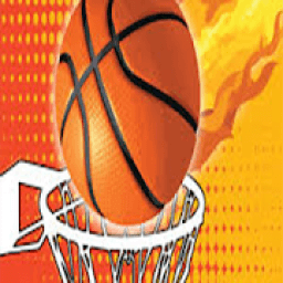 ikon Basket Ball Point