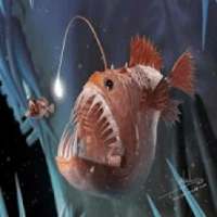 AR Ikan Laut Dalam on 9Apps