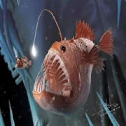 AR Ikan Laut Dalam 1.0