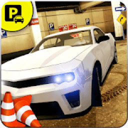 Multi Storey Car Drive Shopping Mall Parking Mania icon