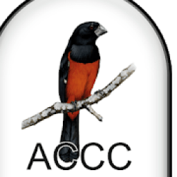 ACCC WEB icon