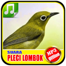 Suara Burung Pleci Lombok icon