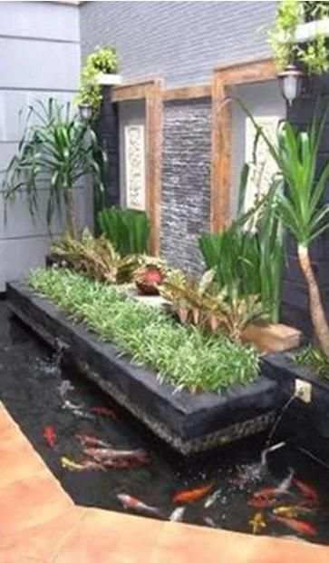 Ide Kreasi Kolam Ikan Hias screenshot 6