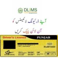 Check Driving License pakistan