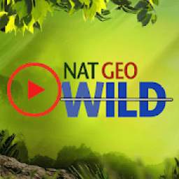 Wild Geographic Videos : Latest Animals Videos