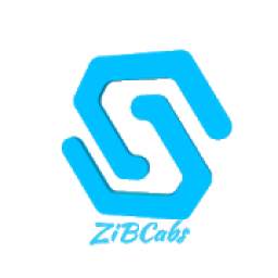 ZiB Partner