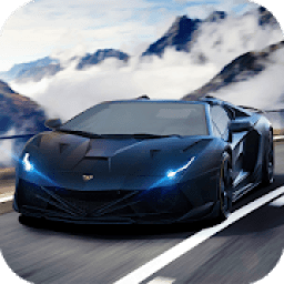 ikon The real car racing