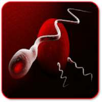 Increase Your Sperm Count on 9Apps