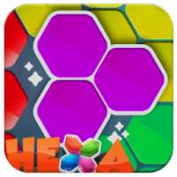 Hexa Puzzle Block