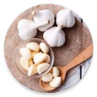 Health Benefits of Garlic