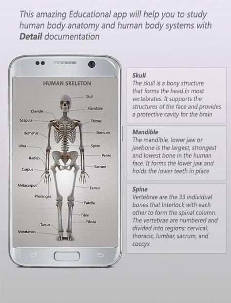 Female 3d anatomy - VR Atlas screenshot 3