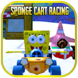 ikon Sponge Cart Racing