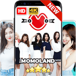ikon Momoland Wallpaper KPOP HD Fans