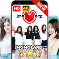 Momoland Wallpaper KPOP HD Fans on 9Apps