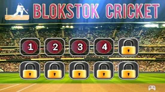 Blokstok Cricket स्क्रीनशॉट 7