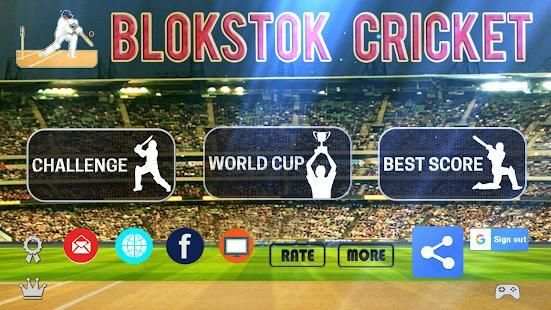 Blokstok Cricket स्क्रीनशॉट 1