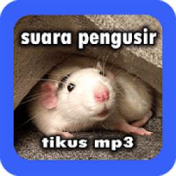 Suara Pengusir Tikus Mp3