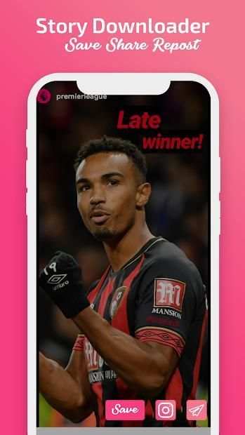 Story Saver for Instagram - Instant Download screenshot 2