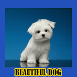Dog Gallery أيقونة