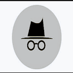 Incognito+private(mini Fast Browser) icon
