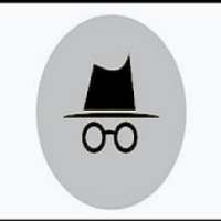 Incognito+private(mini Fast Browser)