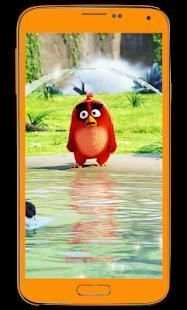 ANGRY BIRD HD WALLPAPER ✔ NEW ✔ स्क्रीनशॉट 2
