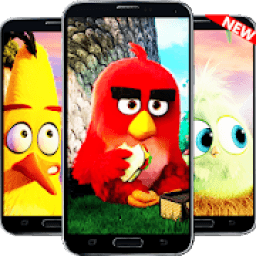 ikon ANGRY BIRD HD WALLPAPER ✔ NEW ✔