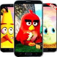 ANGRY BIRD HD WALLPAPER ✔ NEW ✔