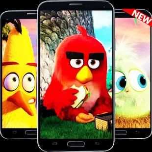 ANGRY BIRD HD WALLPAPER ✔ NEW ✔ स्क्रीनशॉट 1