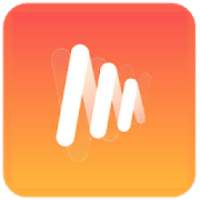 Musi - Simple Music Streaming Hint