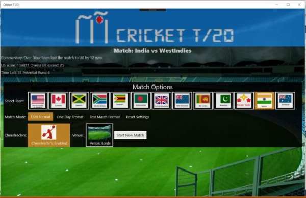 Cricket T 20 screenshot 5