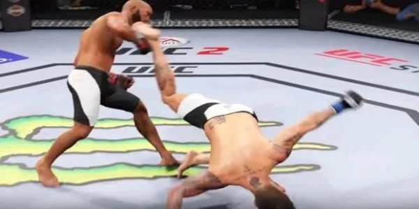 Guide for UFC 2 3 تصوير الشاشة