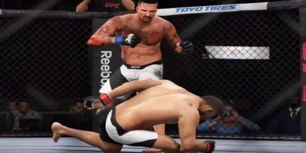 Guide for UFC 2 1 تصوير الشاشة