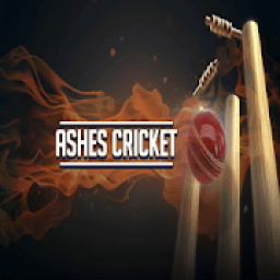 ikon Ashes Cricket Game Play
