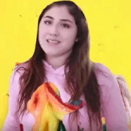 Just Ameerah आइकन