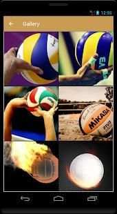 vollyball wallpaper स्क्रीनशॉट 1