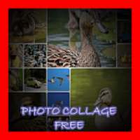 Photo Collage Free on 9Apps