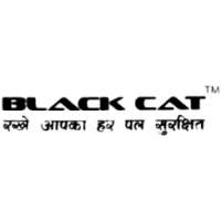 BLACKCAT SECURITY on 9Apps