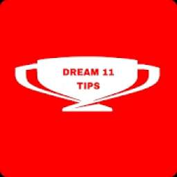DREAM11 TIPS 2.2