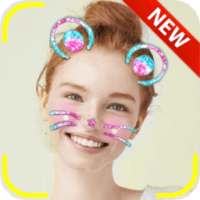 Snap Cat Face Camera Filters on 9Apps