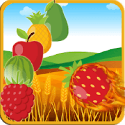 Fruit Marble Blash आइकन