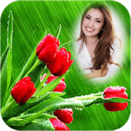 Tulip Photo Frames icon