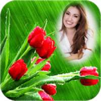 Tulip Photo Frames on 9Apps